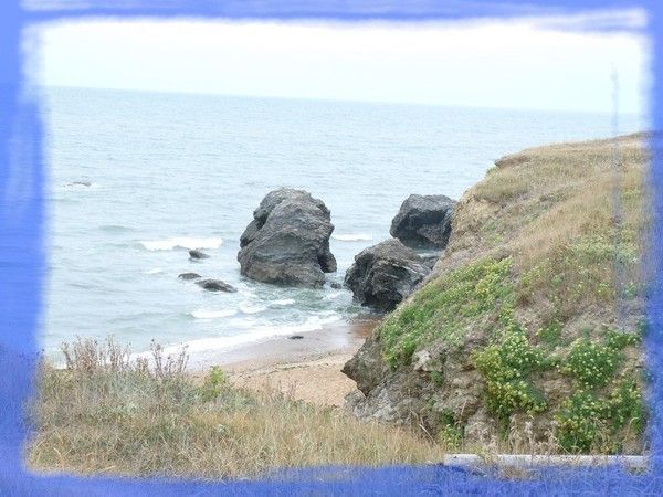 Scion sur l'océan en Vendée ( 3/3 )